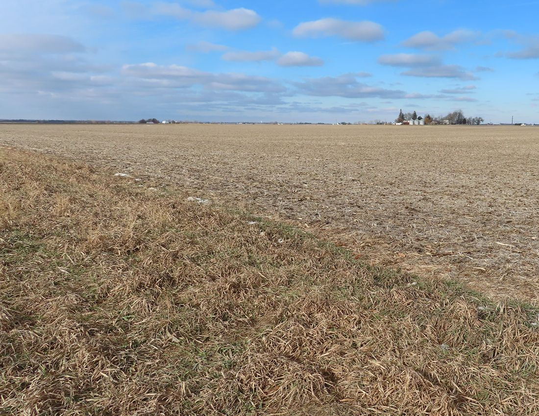 Listing Photo: Diss looking northwest